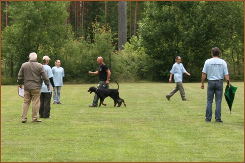 Cliff v.Beuchower Hof - Körung 2007